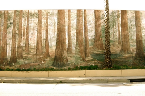 treewallinvenice